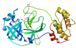 SSRF Helps on the COVID-19 Structure Determination to Understand the Infection Mechanism and Drugs R&D