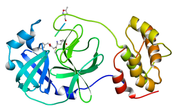 SSRF Helps on the COVID-19 Structure Determination to Understand the Infection Mechanism and Drugs R&D